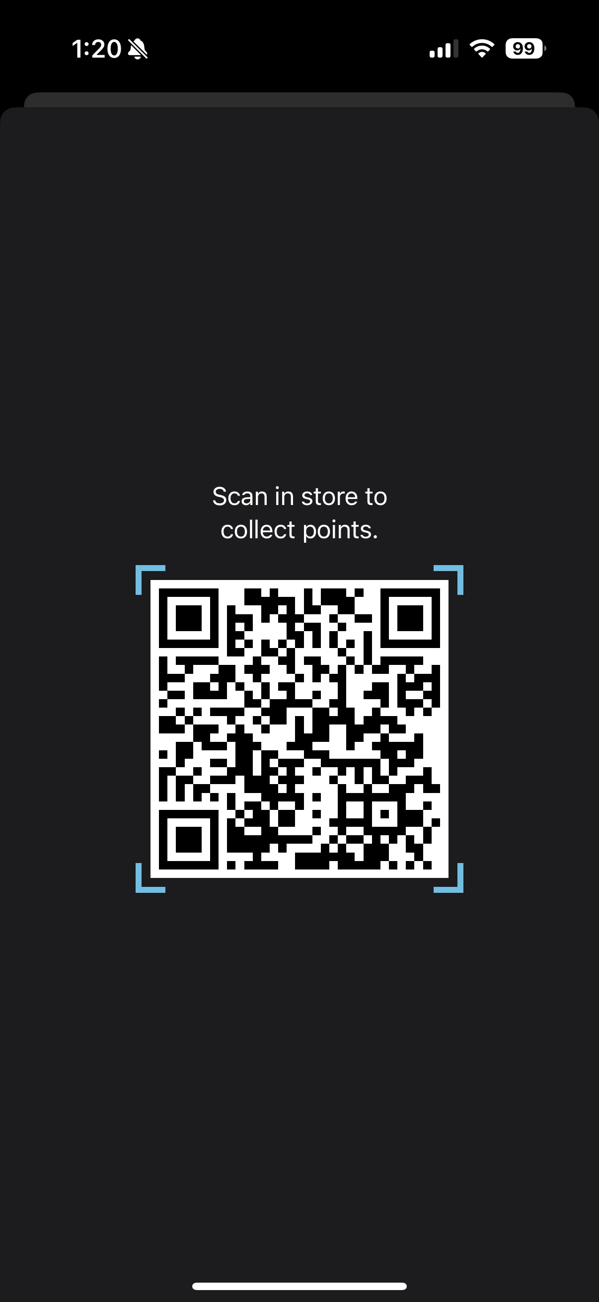 BPB qr code view