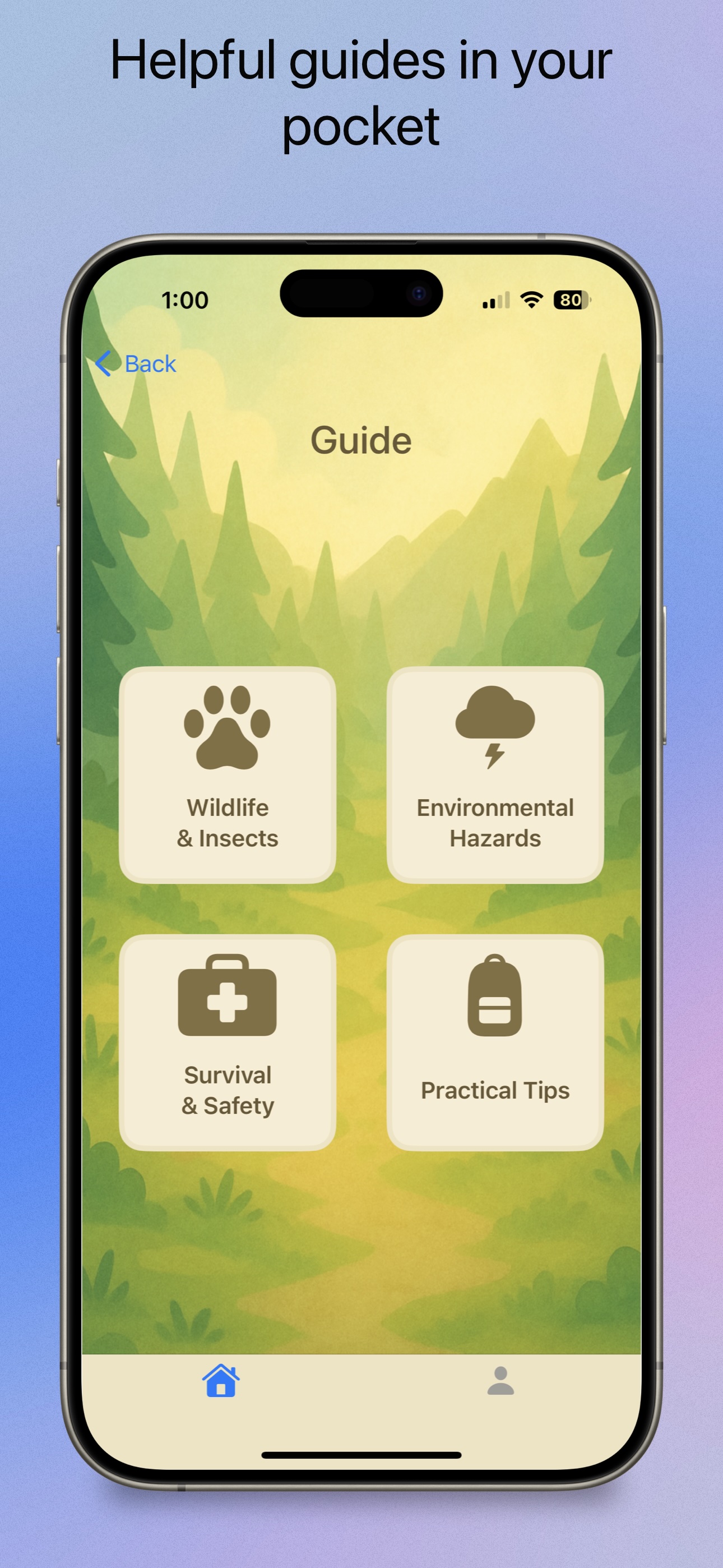 Guide view